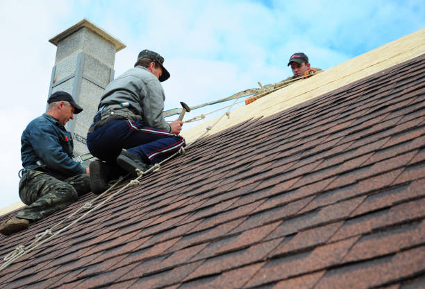 Best Roof Maintenance Services  in Wildwood Lake, TN